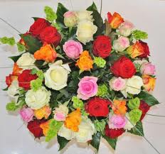 blume.jpg