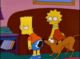 tumblr_ms033awdnX1sfny5qo1_400.gif