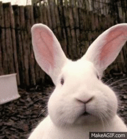http___makeagif.com__media_6_27_2013_L6nyo1.gif