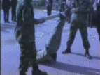 http___makeagif.com__media_12_07_2014_i3VstC.gif