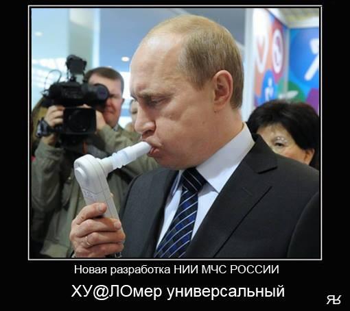 1413294505_ues37de.jpg