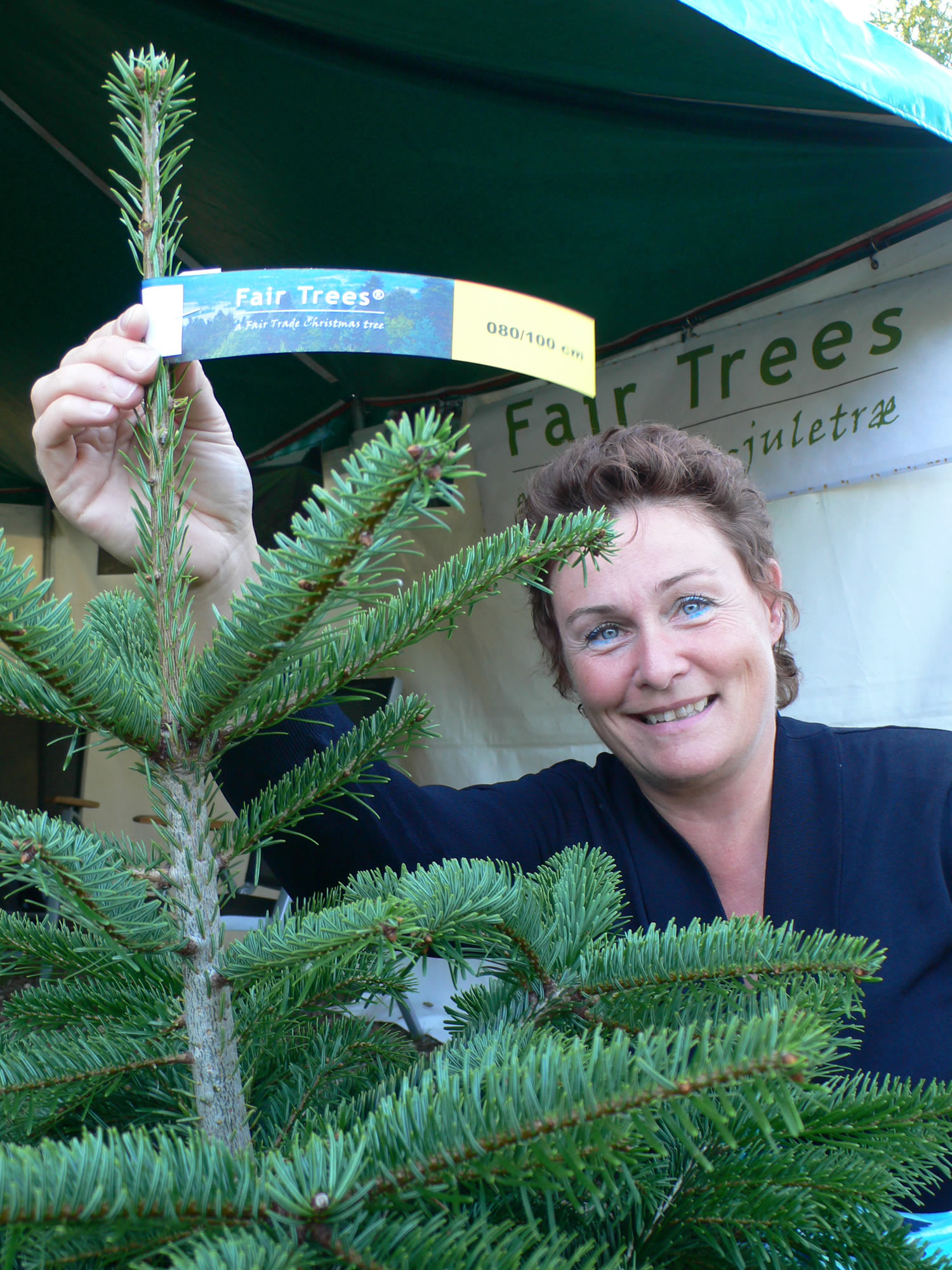 2yr5_MarianneBolsFairTrees.jpg