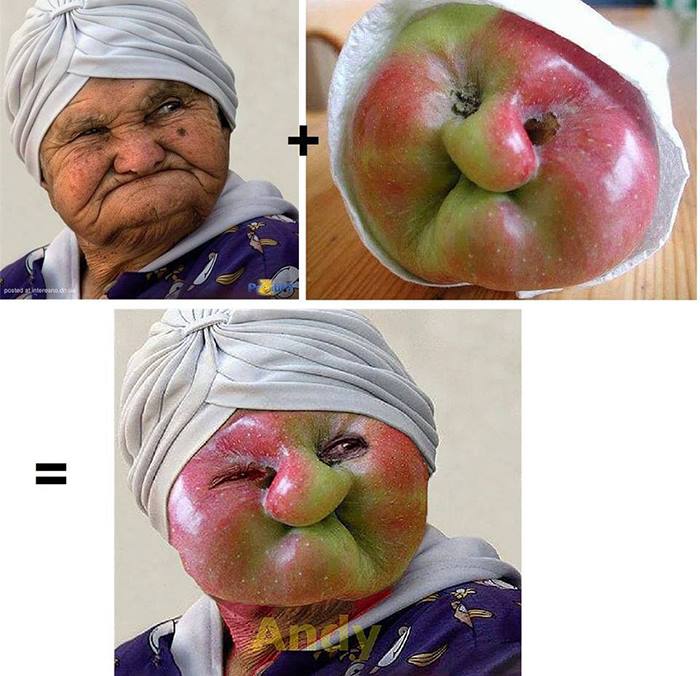 cxviri.jpg