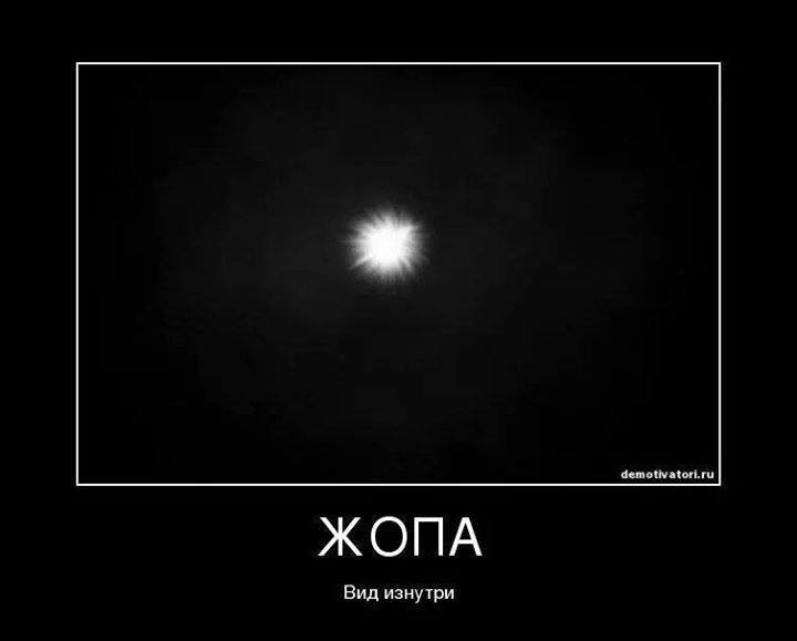 10931002_951185218226815_4480226277955099511_n.jpg