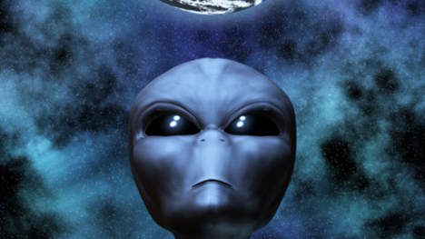 media_xl_688045.jpg