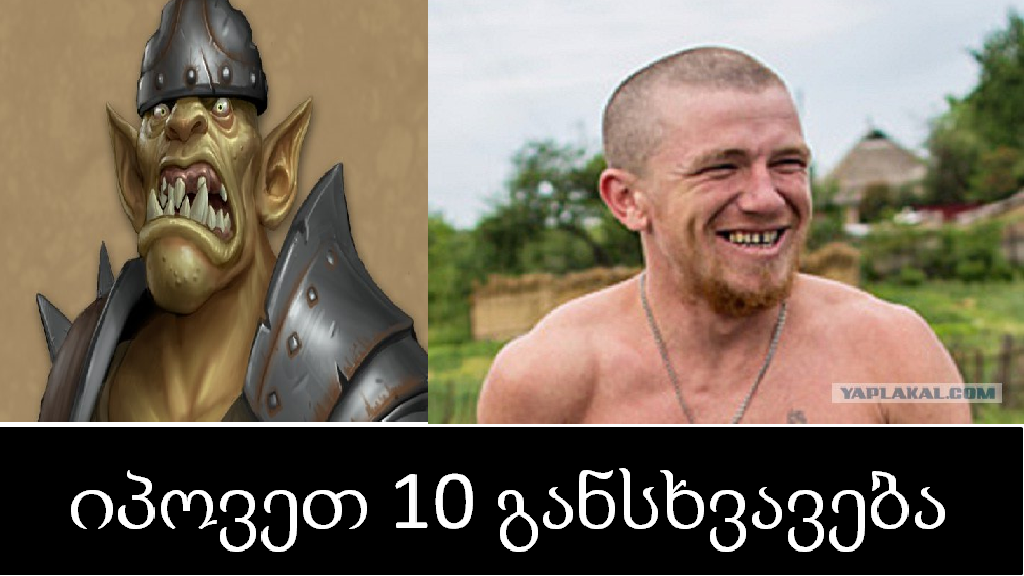 dnr.png