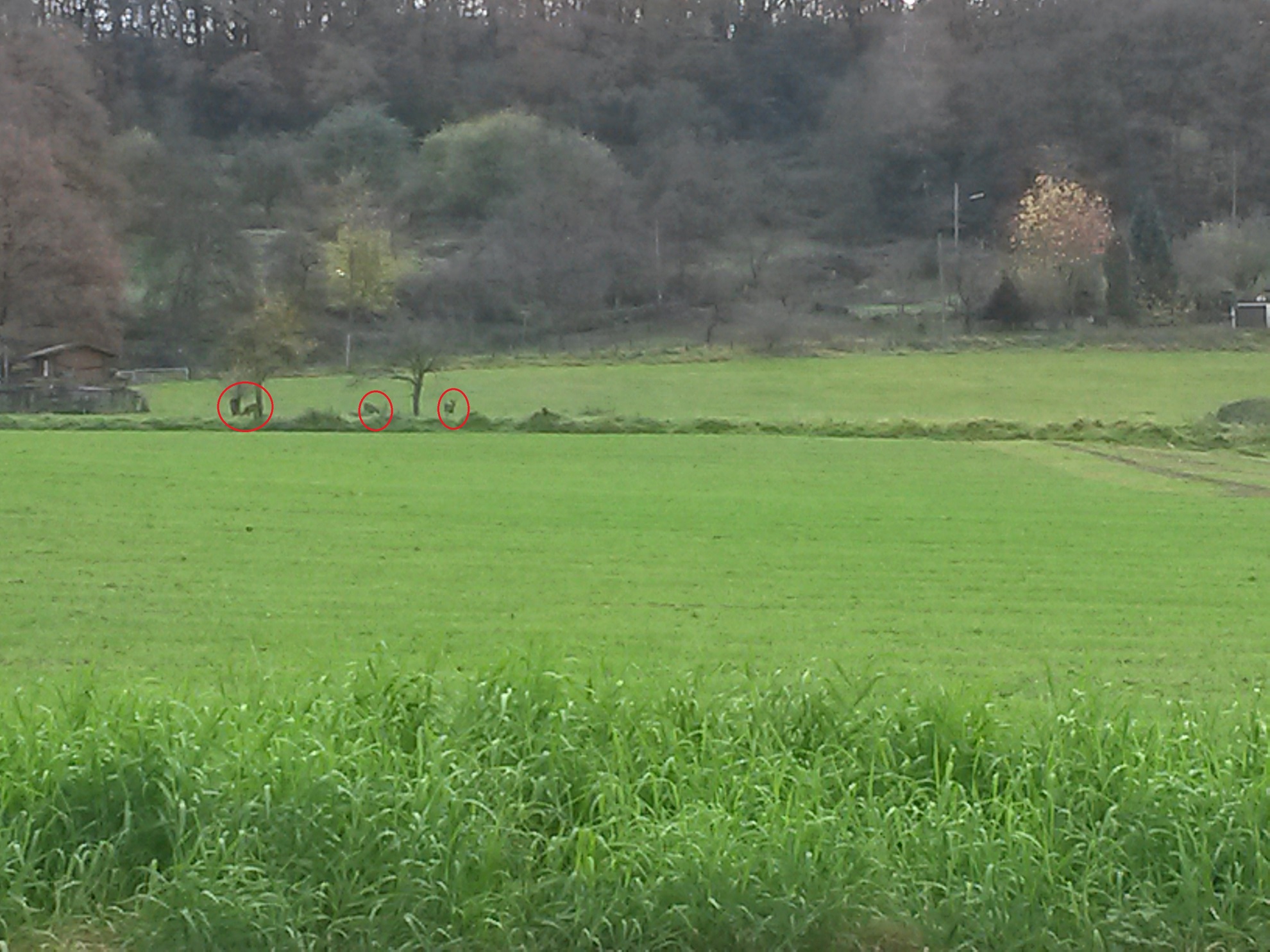 20141117_115120.jpg