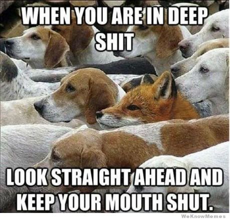when_you_are_in_deep_shit.jpg