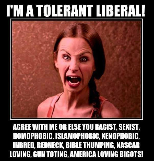 American_liberals_726e5d_4983289.jpg