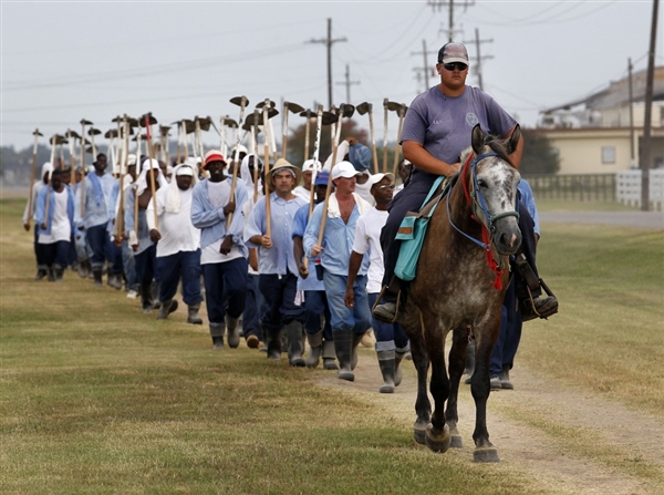 at_110920_prison_horse_whalen_01.photoblog600.jpg