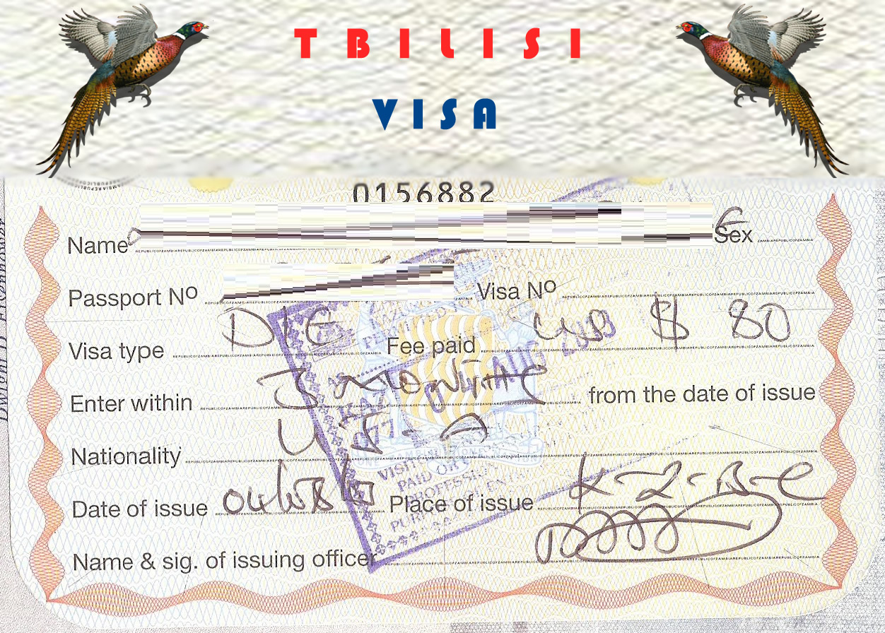 visa.jpg