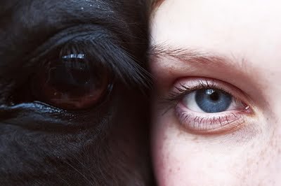 horse_love.jpg