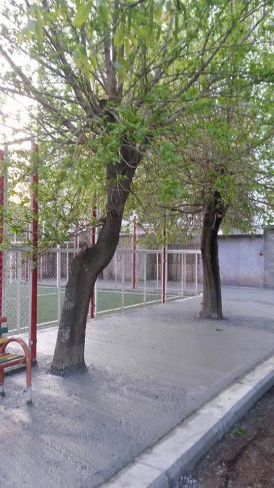 post_29_1430304395.jpg