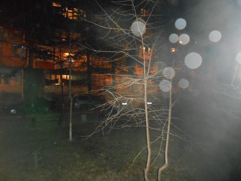 DSCN0890.JPG