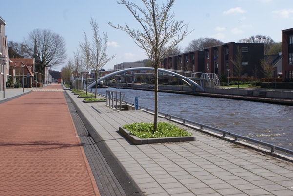 104_bomen_in_de_straat_3_web__1_.jpg