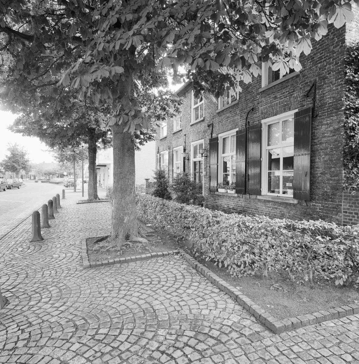 Overzicht_voorgevel_woonhuis_met_bomen_aan_de_straat___Nuenen___20338019___RCE.jpg