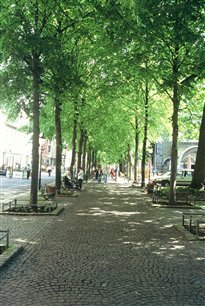 daicavi_buneba.jpg