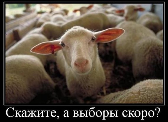 13_2012_02_19_10.08.59.jpg