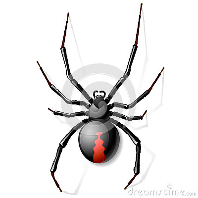 black_widow_spider_26394757.jpg