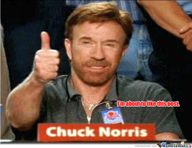 thank_you_chuck_norris_o_1450751.jpg