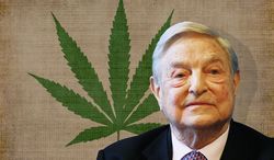 4_2_2014_pot_soros_weed8201_c0_159_2529_1635_s250x146.jpg