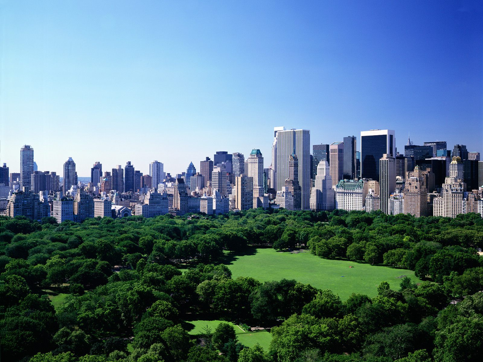 Summer_in_Manhattan__New_York.jpg