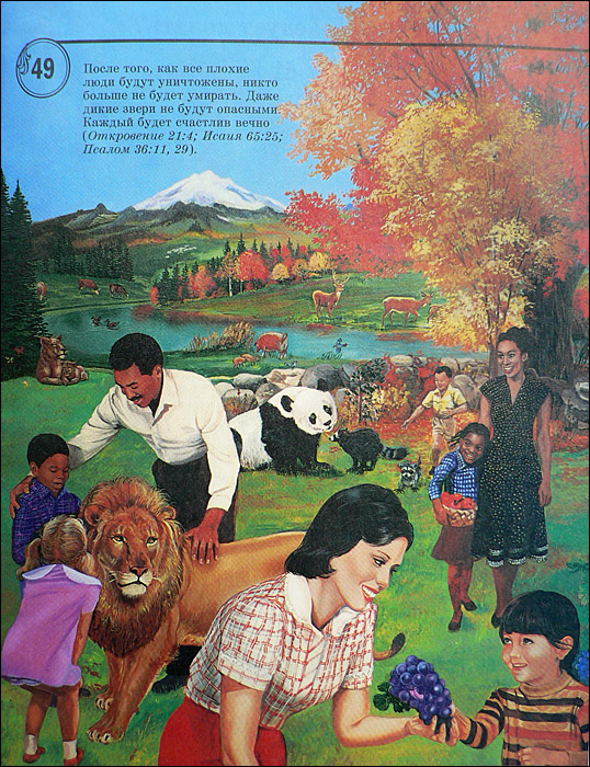 Jehova__s_book_12.jpg