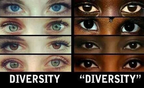 iversity1.jpg