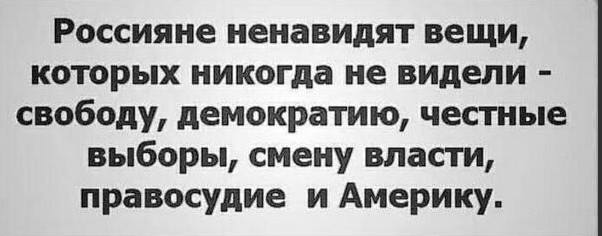 r292.jpg