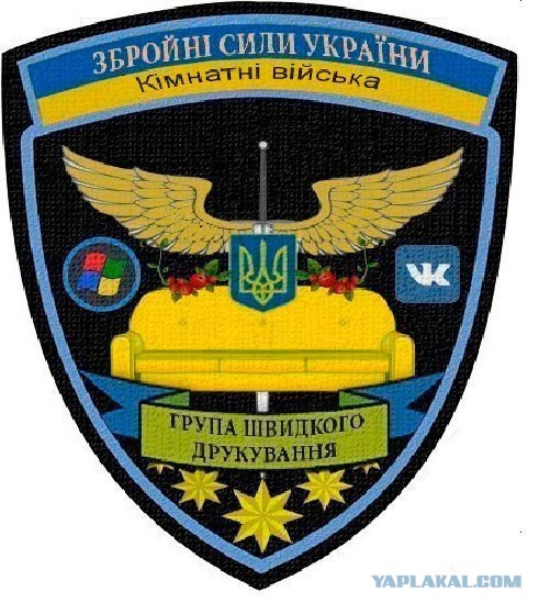 3535870.jpg