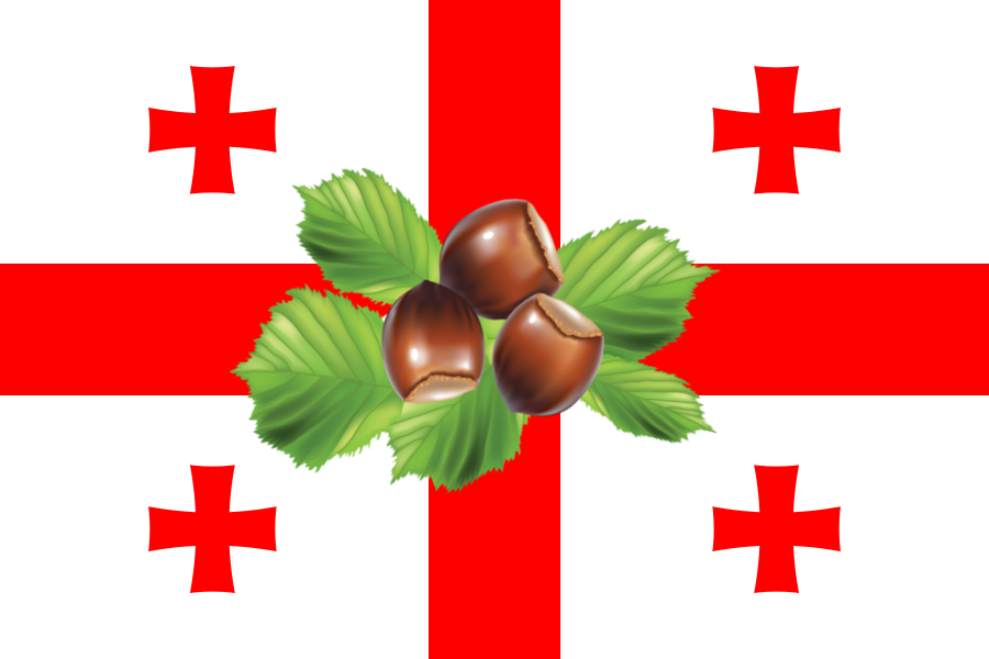 flag_of_megrelia.png