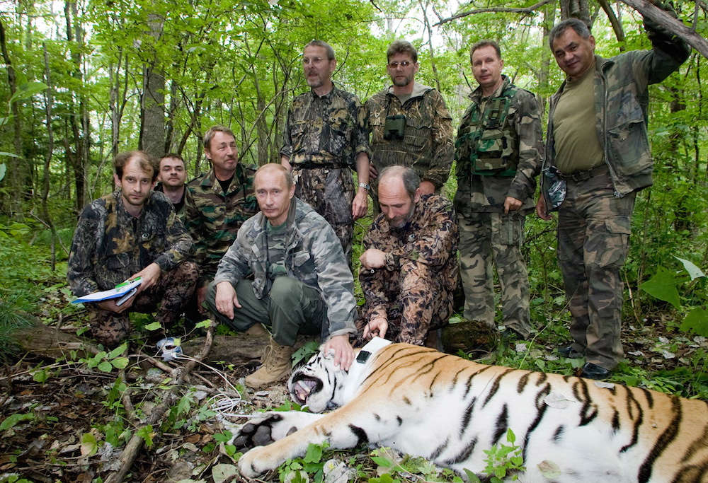 Putin_tiger_smaller.jpg