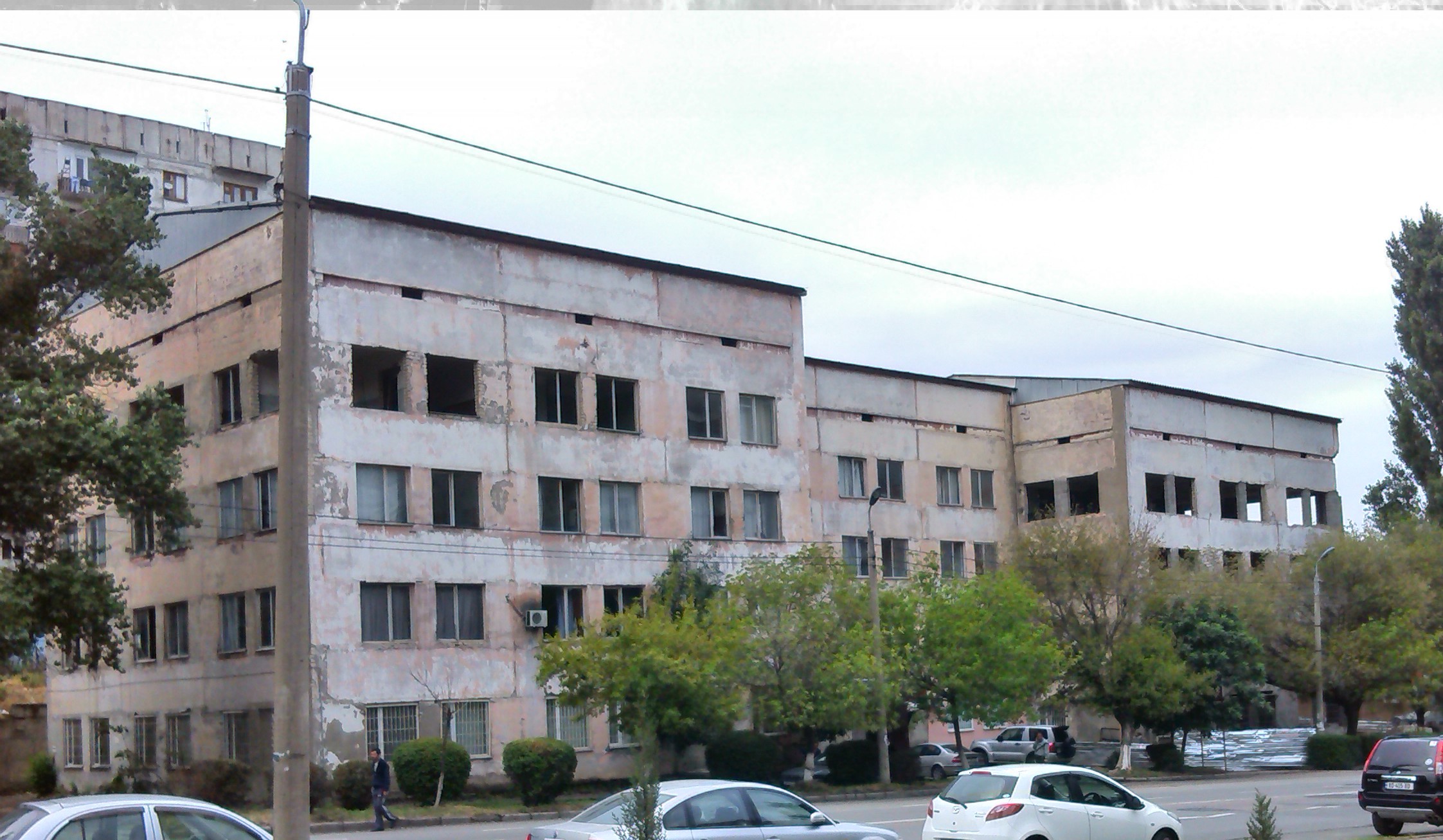 vazisubani.jpg