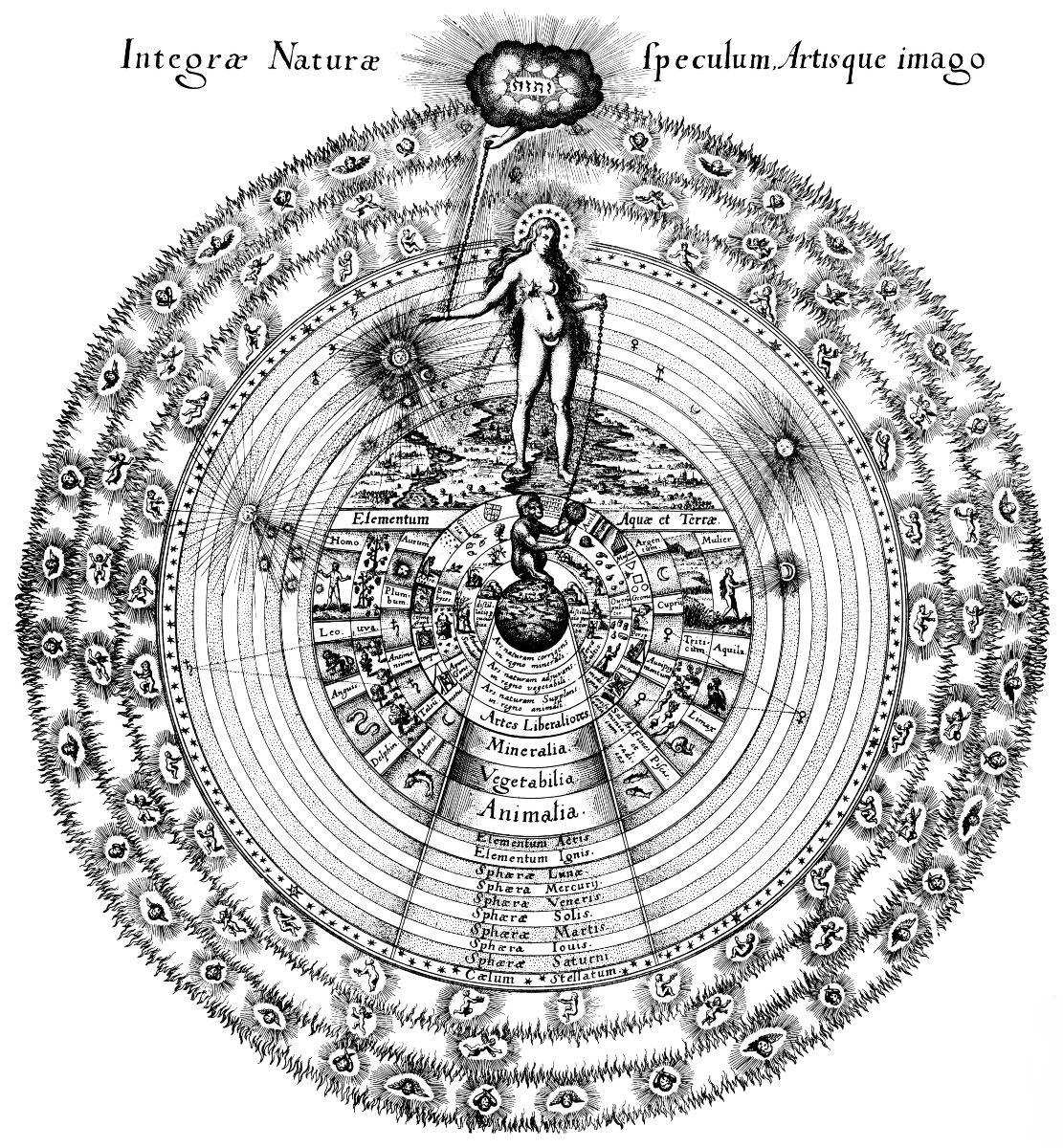 fabricius_fludd_natura_mirror_q75_1111x1200.jpg
