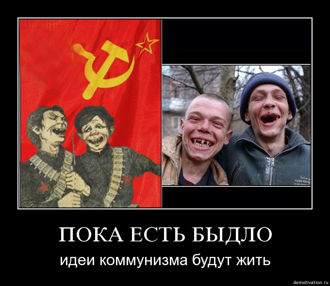 oytbrzl5ekl7.jpg