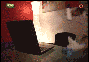 1361358306636416611.GIF