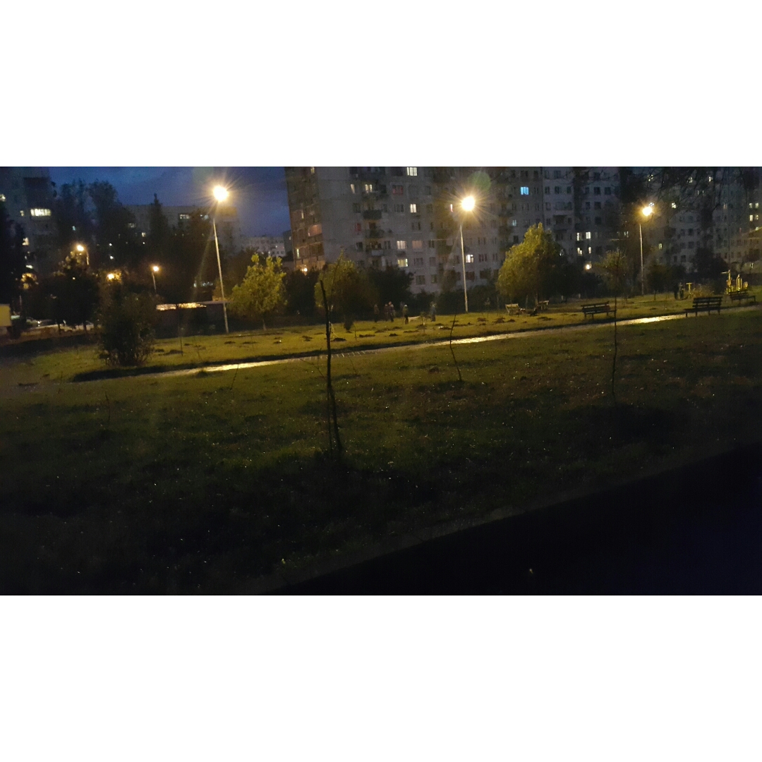 PhotoGrid_1446372221809.jpg