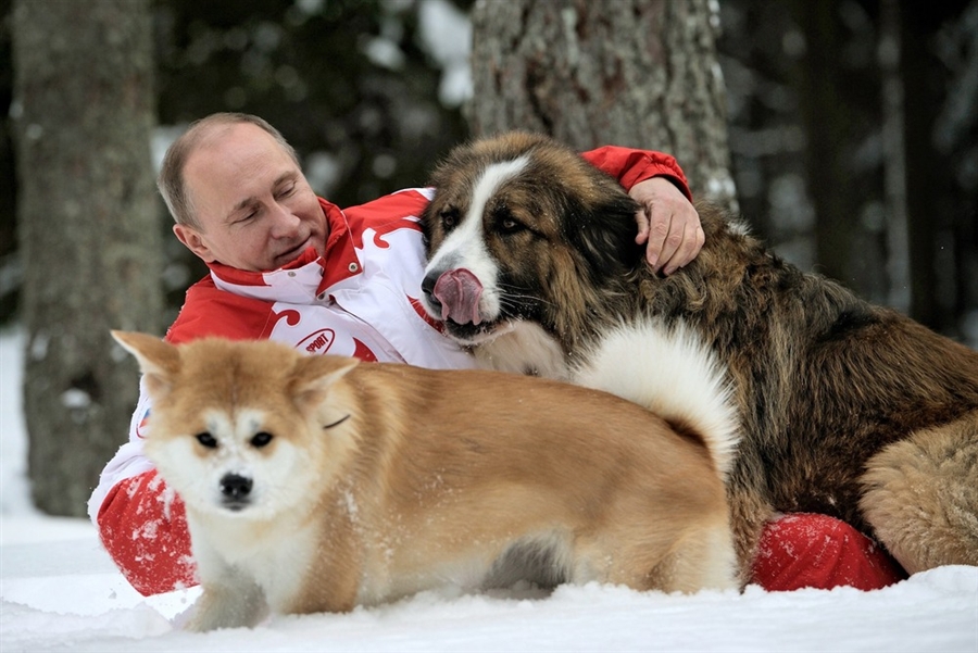 Vladimir_Putin_Dog_Lover.jpg