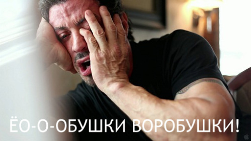 1526890.jpg