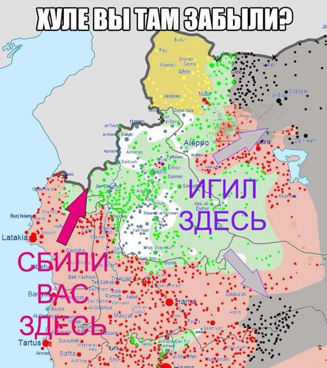 FB_IMG_1448390779233.jpg