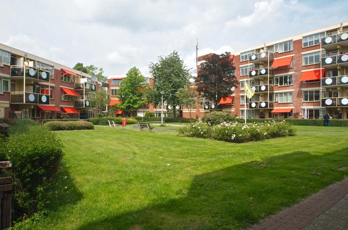 onze_buurt.jpg