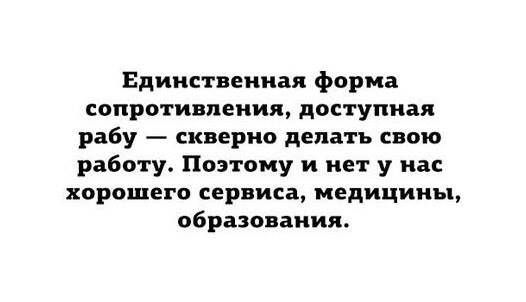 r480.jpg
