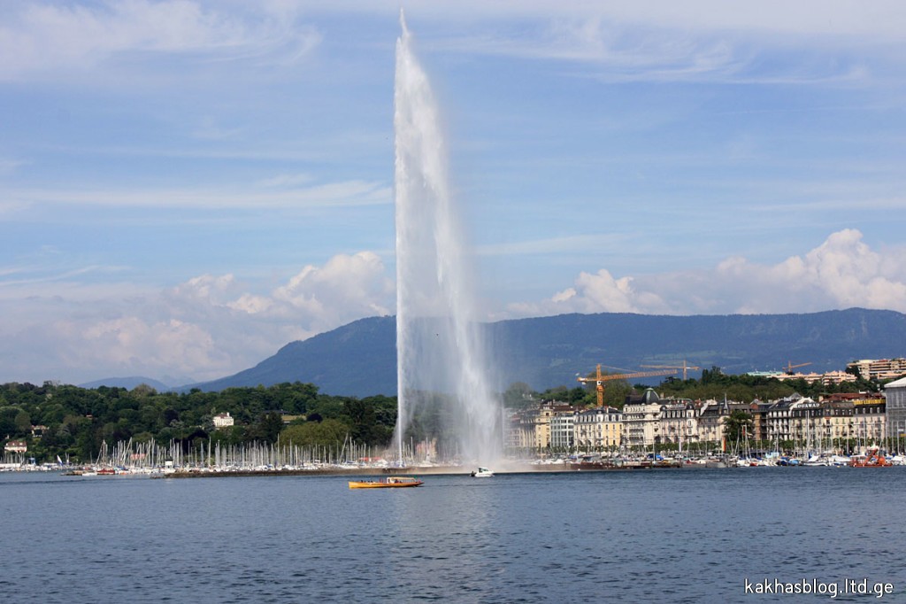 IMG_2409_1024x682.jpg