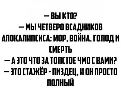 12552893_1104217962944151_4523621654160095548_n.jpg