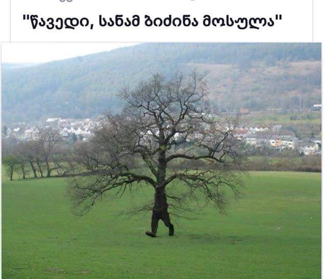 FB_IMG_1456597863459.jpg