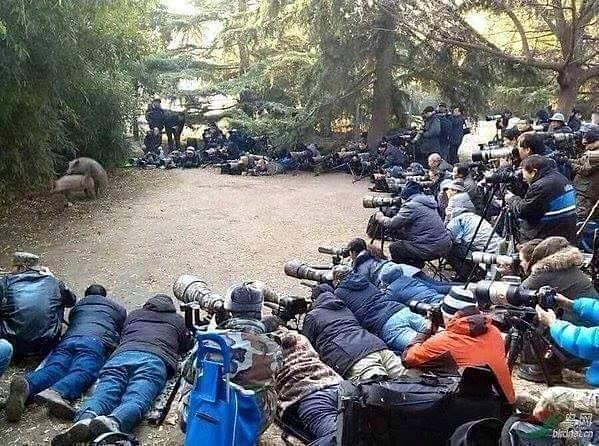 realoba.jpg