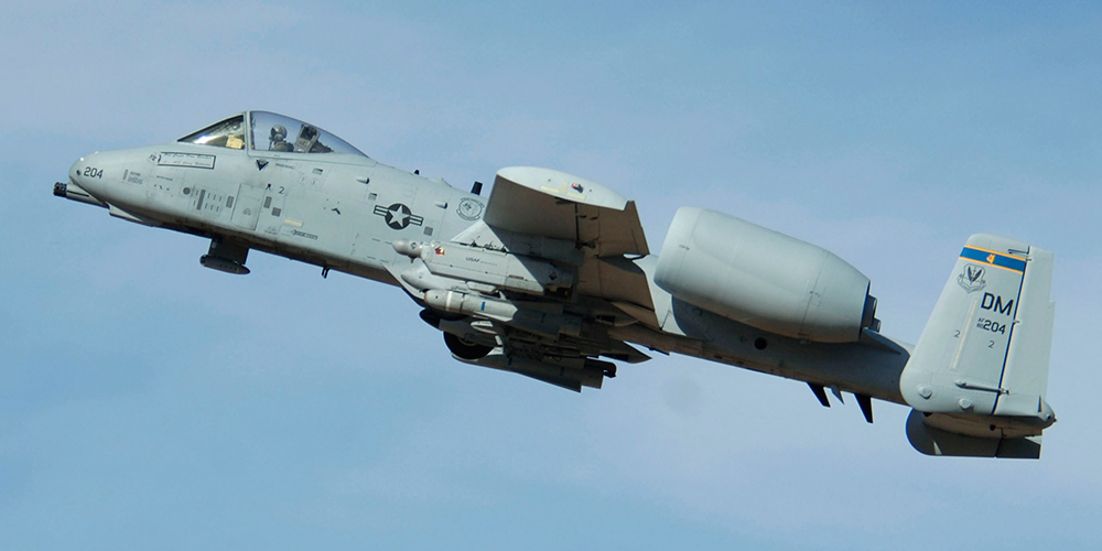 warthog_ft1.jpg