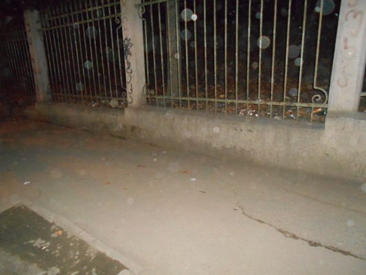DSCN0747.JPG