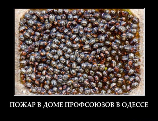 odesa.JPG