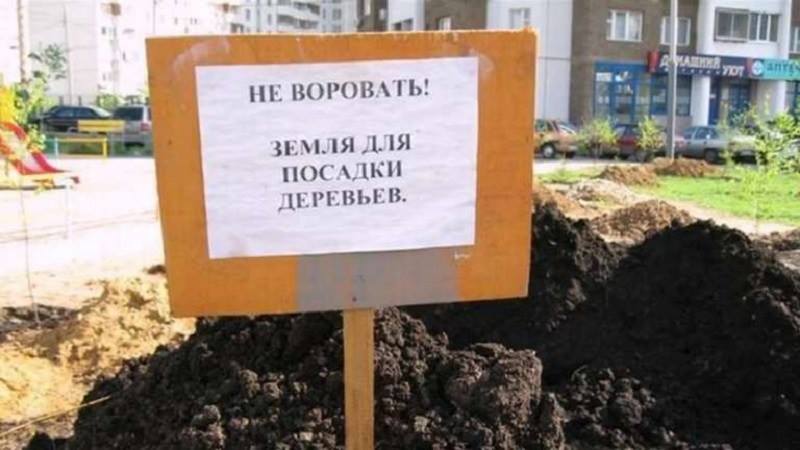 r13.jpg